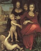 YANEZ DE LA ALMEDINA, Fernando St.Anne,the Virgin;St Elizabeth,St,john,and the Christ Child oil painting on canvas